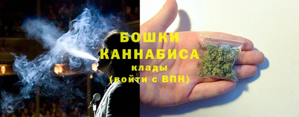 бошки Краснослободск