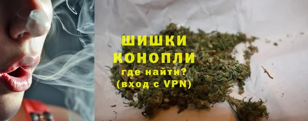 бошки Краснослободск