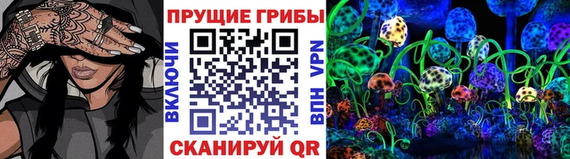 Псилоцибиновые грибы Psilocybine cubensis  Купить  Уфа 